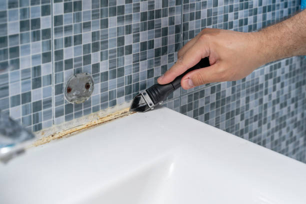 Best Fast Mold Removal  in Steilacoom, WA